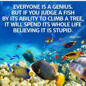 Everyone is a Genius!